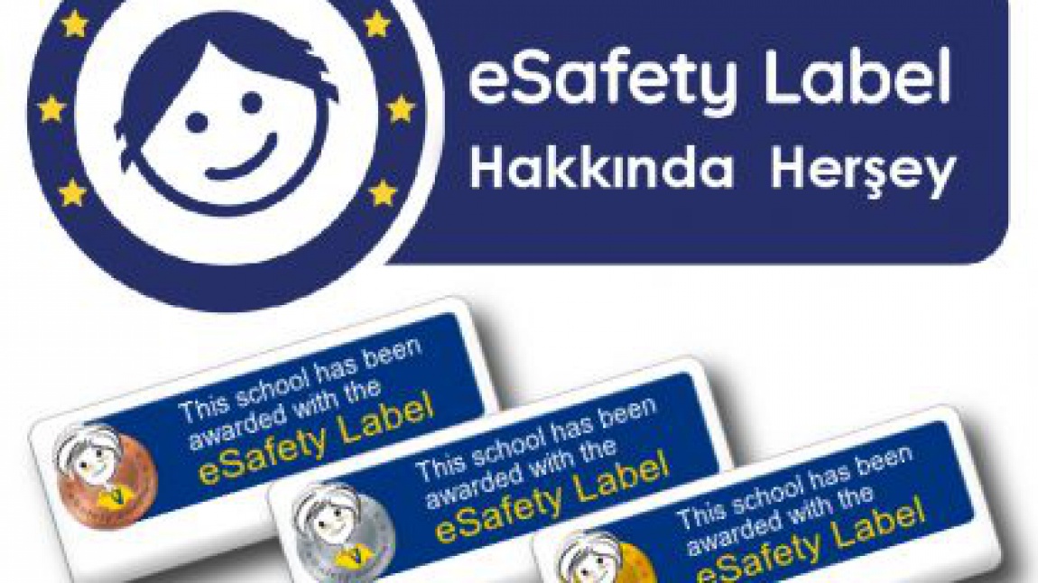 e Güvenlik ( e-Safety) Nedir?